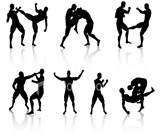 Artes Marciais em Anápolis