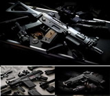 Armas e Munição em Anápolis
